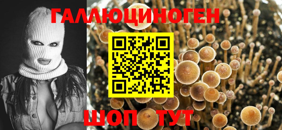 Галлюциногенные грибы GOLDEN TEACHER  Вход с VPN  Миллерово 